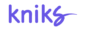 partner-logo_Kniks